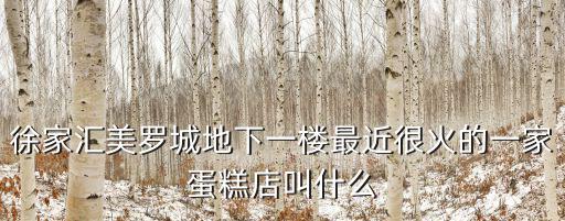 徐家匯美羅城地下一樓最近很火的一家蛋糕店叫什么