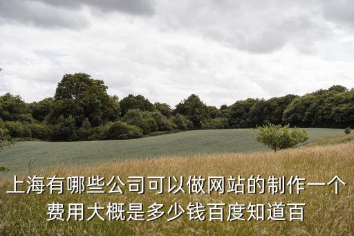 上海有哪些公司可以做網站的制作一個費用大概是多少錢百度知道百