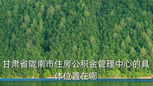 甘肅省隴南市住房公積金管理中心的具體位置在哪