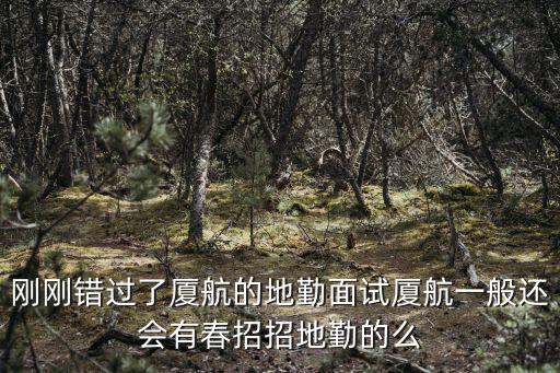 廈門航空招聘，剛剛錯過了廈航的地勤面試廈航一般還會有春招招地勤的么