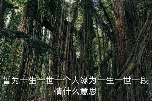 誓為一生一世一個人緣為一生一世一段情什么意思