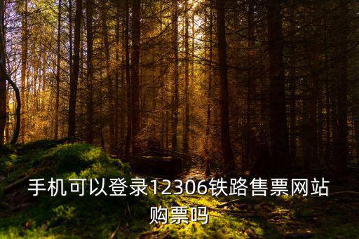 手機購票，手機可以登錄12306鐵路售票網站購票嗎
