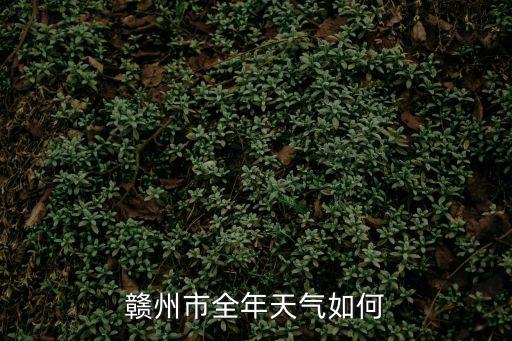 贛州市天氣，贛州市全年天氣如何