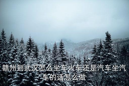 贛州到武漢怎么坐車火車還是汽車坐汽車的話怎么做