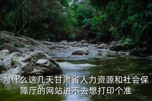 為什么這幾天甘肅省人力資源和社會保障廳的網站進不去想打印個準
