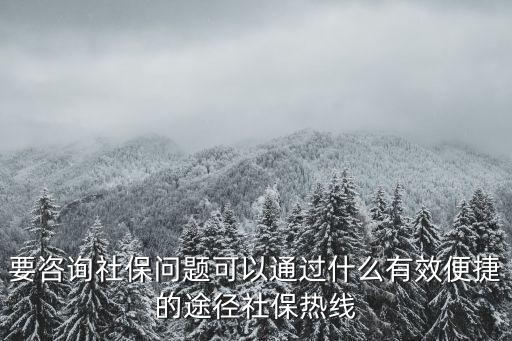 要咨詢社保問題可以通過什么有效便捷的途徑社保熱線