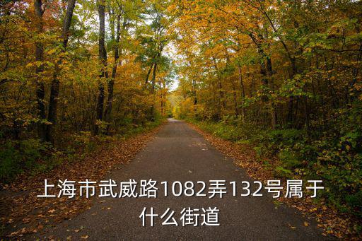 武威路，請問湖南省武岡市武威路是不是屬于轅門口街道處所管