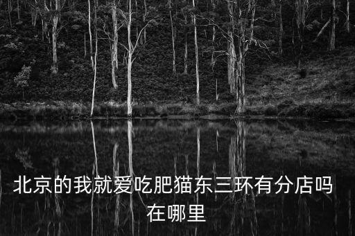 北京的我就愛吃肥貓東三環(huán)有分店嗎 在哪里
