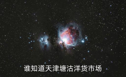 誰知道天津塘沽洋貨市場