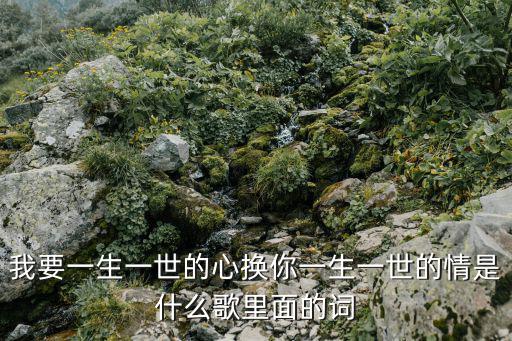 我要一生一世的心換你一生一世的情是什么歌里面的詞