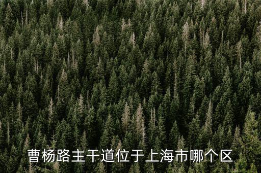 曹楊路主干道位于上海市哪個區