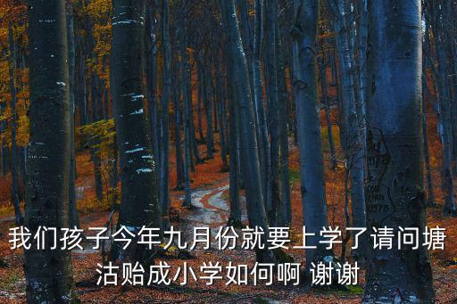 我們孩子今年九月份就要上學了請問塘沽貽成小學如何啊 謝謝