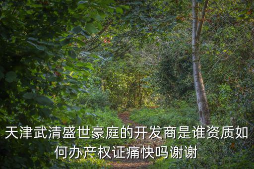 天津武清盛世豪庭的開發商是誰資質如何辦產權證痛快嗎謝謝