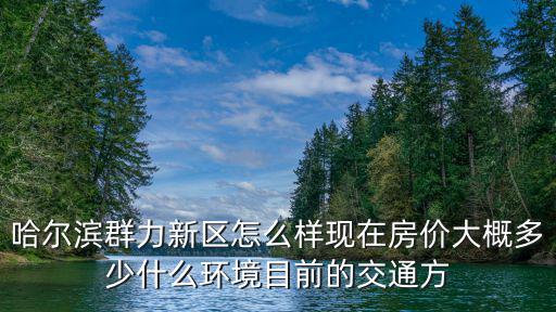 哈爾濱群力新區(qū)怎么樣現(xiàn)在房價大概多少什么環(huán)境目前的交通方