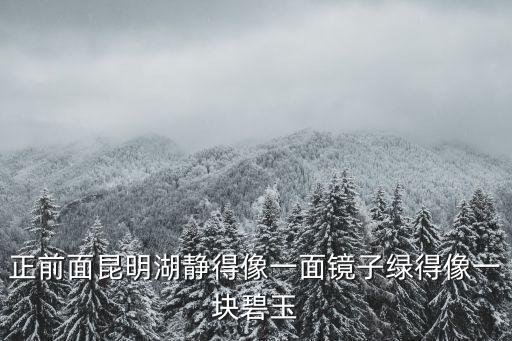 正前面昆明湖靜得像一面鏡子綠得像一塊碧玉