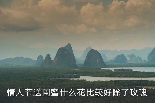情人節送閨蜜什么花比較好除了玫瑰