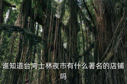 誰知道臺灣士林夜市有什么著名的店鋪嗎