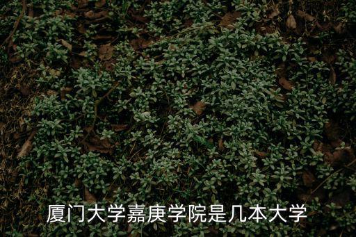 廈門大學嘉庚學院是幾本，廈門大學嘉庚學院在山東招生藝術類是幾本