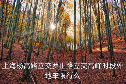 上海楊高路立交羅山路立交高峰時段外地車限行么