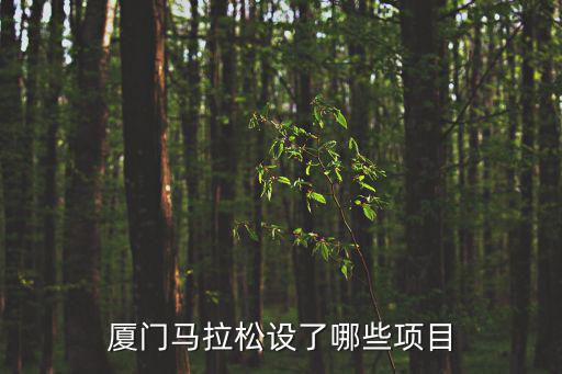 廈門馬拉松設了哪些項目