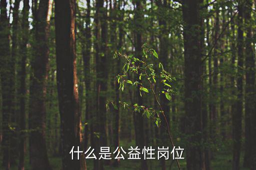 什么是公益性崗位