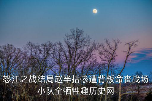 怒江之戰結局趙半括慘遭背叛命喪戰場小隊全犧牲趣歷史網