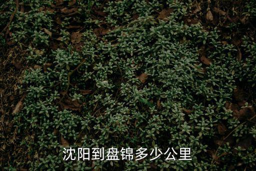 沈陽到盤錦，從沈陽到盤錦坐大客多少錢