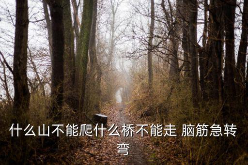 什么山不能爬，什么山不能爬