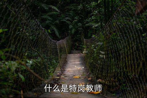 什么是特崗教師