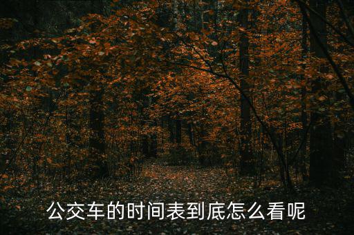 公交車的時間表到底怎么看呢