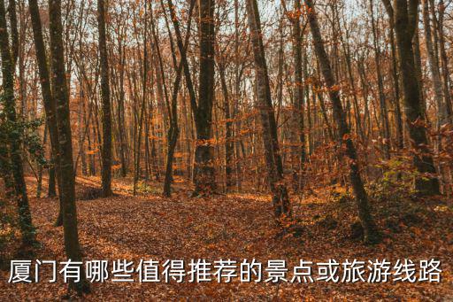 廈門有哪些值得推薦的景點或旅游線路