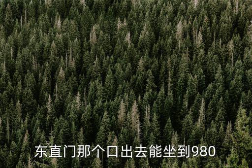 980路，北京到980公交車路線坐地鐵怎么走