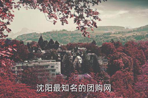 沈陽最知名的團購網(wǎng)