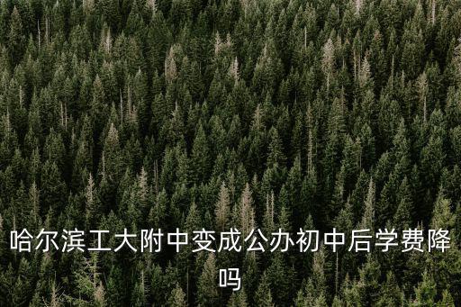 哈爾濱工大附中變成公辦初中后學費降嗎