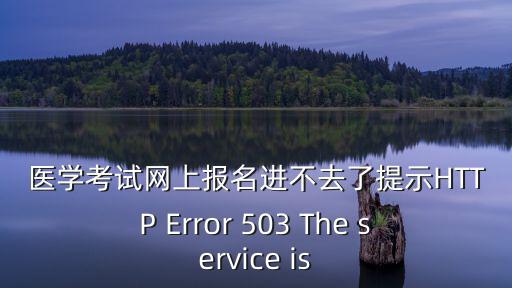 醫學考試網上報名進不去了提示HTTP Error 503 The service is
