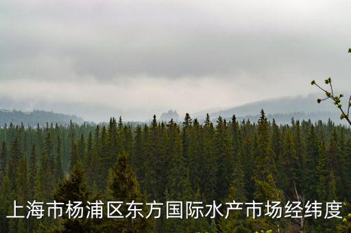 上海市楊浦區東方國際水產市場經緯度