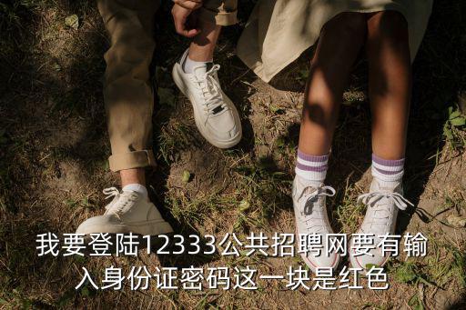 我要登陸12333公共招聘網(wǎng)要有輸入身份證密碼這一塊是紅色