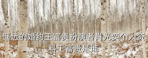 遙遠的婚約王富貴扮演者肖光奕個人資料王富貴是誰