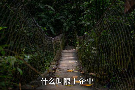 什么叫限上企業(yè)