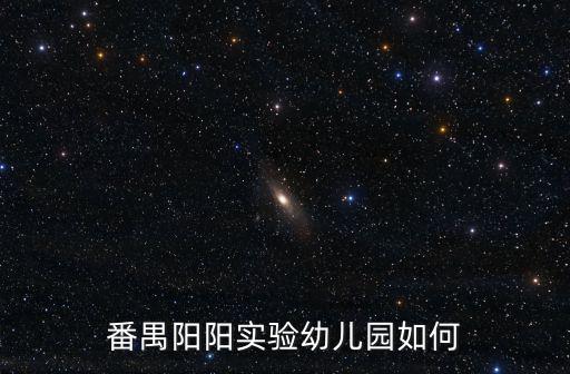 番禺陽陽實驗幼兒園如何