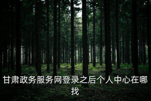 甘肅政務(wù)，甘肅政務(wù)服務(wù)網(wǎng)用哪個(gè)瀏覽器上