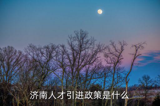 濟南人才引進政策是什么