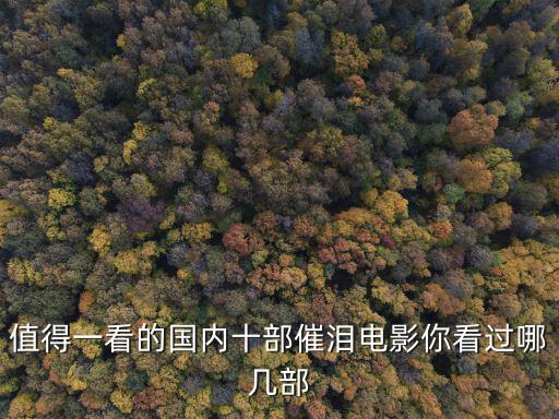 永利街，江門婦幼保健醫院在江門什么地方