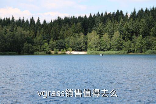 vgrass，vgrass這個牌子在臨淄買的怎么樣