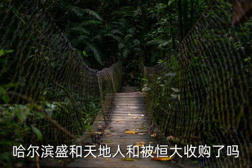 哈爾濱盛和天地人和被恒大收購了嗎