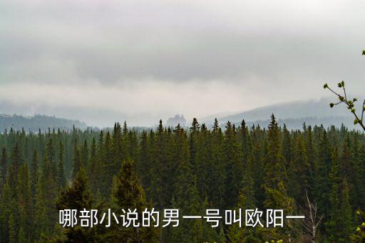 歐陽一，哪部小說的男一號叫歐陽一