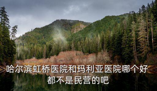 哈爾濱瑪麗亞醫院，哈爾濱虹橋醫院和瑪利亞醫院哪個好 都不是民營的吧