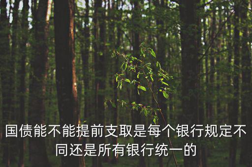 國債能不能提前支取是每個銀行規定不同還是所有銀行統一的