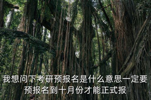 我想問下考研預報名是什么意思一定要預報名到十月份才能正式報