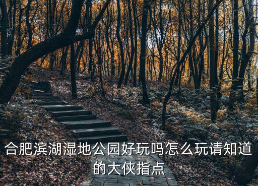 濱湖濕地公園，合肥濱湖濕地公園的具體地址